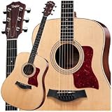 DN3 Acoustic Guitar