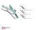 Dianne Brill Brow Pencil- Dual