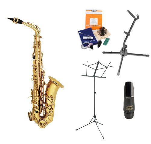 Legacy AS2000 Professional Fully Engraved Alto Saxophone with Case, Accessories and Selmer Mouthpiece, The Instrument Store Starter Kit