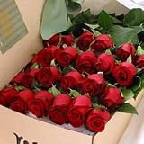 Two Dozen Long Stem Red Roses