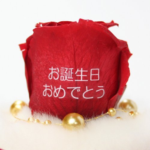 Cover image : メッセージローズ (Preserved Rose) ローズドーム S1～情熱のラブジャック～レッド 【リボン付き】【お誕生日おめでとう】 22215