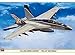 1/48 F/A-18E�X�[�p�[�z�[�l�b�gVFA-137�P�X�g�����Y