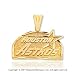 14k Yellow Gold Houston Astros Elegant Carved Pendant