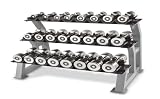 41mcXxwAQAL. SL160  Hampton Dumbbell Rack 3T CD 12