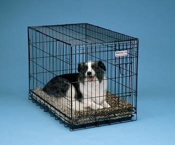 Prec Great Crate 48x30x33 Black Picture