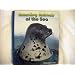 Amazing Animals of the Sea (Marine Mammals)