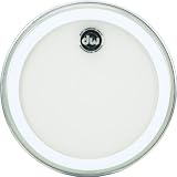 14 &acute; Clear Coated Drum Head - B0002E2OVM