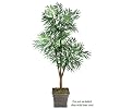 One 6' Phoenix Palm Artificial Tree with Tripled Heads
