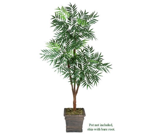 One 6′ Phoenix Palm Artificial Tree with Tripled Heads