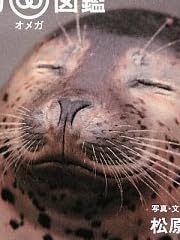 ưʪ���ᥬ�޴� ���磻���Τϥ����Ǥ���