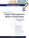 A Guide to the Project Management Body of Knowledge 2000 (Cases in Project and Program Management Series)