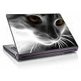 quad core laptop Original "Animaux