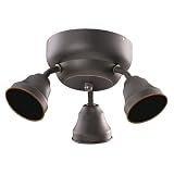 Sea Gull 16024BLE-782 Fan Light