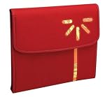 Red Organizer with notebook