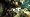 BioShock