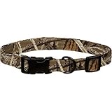 Bison Pet Advantage MAX 4 Adjustable Nylon Dog Collar