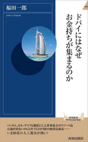 ドバイにはなぜお金持ちが集まるのか (青春新書INTELLIGENCE 202)