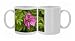Photo Mugs of Japanese rose in flower. Garden from Ardea Wildlife Pets
