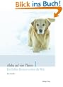Aloha auf vier Pfoten 1: Ein Golden Retriever erobert die Welt