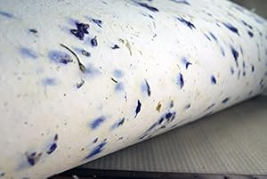 Purple wedding invitations amazon