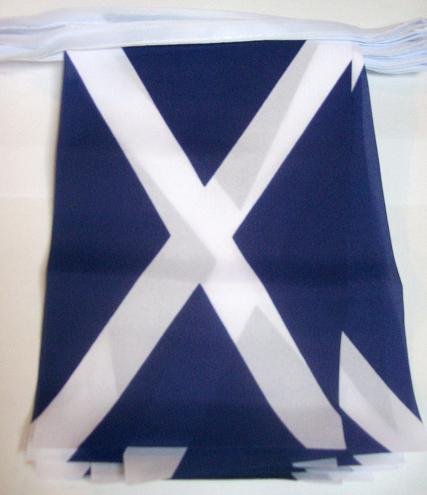 3M 10 Flag Scotland St Andrews Scottish Material Bunting