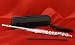 Legacy FL750 Intermediate Sterling Silver Plated Flute Outfit w/ 2 Year Warranty