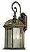 Trans Globe Lighting 44181 BC Outdoor Wentworth 19" Wall Lantern, Black Copper