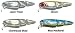V-Joint Minnow's 110SU - Blue Mackerel