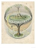 Yggdrasil the Sacred Ash the Tree of Life the Mundane Tree of Norse Mythology Art Giclee Poster Print, 36x48