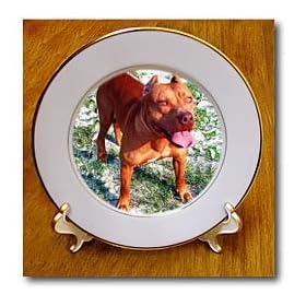 American Pitbull - 8 Inch Porcelain Plate