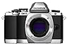 Olympus OM-D E-M10 Mirrorless Digital Camera (Silver)- Body only