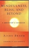 Mindfulness Bliss and Beyond: A Meditator's Handbook