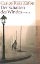 Der Schatten des Windes