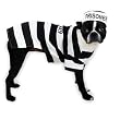 Casual Canine 16-Inch Polyester and Cotton Prison Pooch Dog Costume, Medium, Black and White