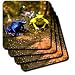 Amy Dyckovsky Small Animal Collection - Poisin Dart Frog Blue Yellow - Coasters