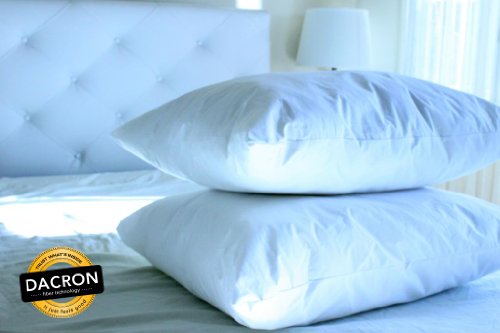 Set Of 2 Two Bellaresto Hypoallergenic 100 Cotton Pillows With