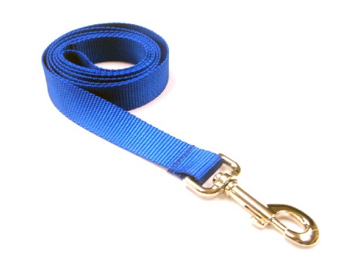 Large Blue Dog Leash/Nylon Webbing: 1