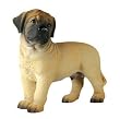 Bull Mastiff Puppy - Cold Cast Resin - 3'' Height