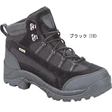 エボリューションGTX