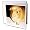 Guinea Pig - Guinea Pig - Greeting Cards-6 Greeting Cards with envelopes