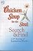 Books : Chicken Soup for the Soul Search and Find A 2nd Serving of Inspirational Puzzles