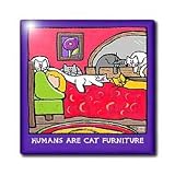Cat Furniture, Cartoon Cats, Cats, Cat, Funny cats, Kittens. Pets, Funny Pets, Animals - 4 Inch Ceramic Tile
