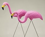 Pink Flamingos 2