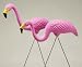 Search: Pink Flamingos 2