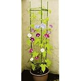 ���i�̏ڍ�