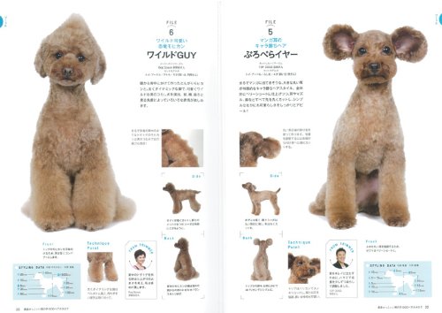 dog magazine book grooming hair style arrange yorkie poodle