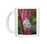 Tree Nymph / Paper Kite / Rice Paper Butterfly - resting with wings closed Photo Mugs