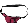 Fujifilm Jess Lifestyle Case for Fuji Z10fd Digital Camera (Hot Pink)
