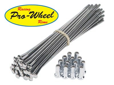2005-2009 Ktm 250Sxf: Pro Wheel Spoke Kit Rear 19