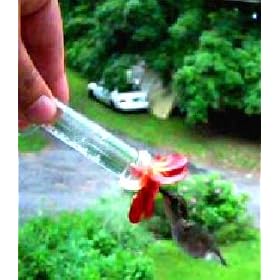 Hummingbird Feeder "HUM-fi" Miniature Window to Hand Hummingbird Feeder "Red Geranium"